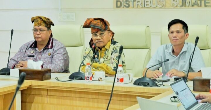 Dukung Pengembangan PLTS dan BESS, Bupati Simalungun Berharap Dapat Berikan Kontribusi PAD