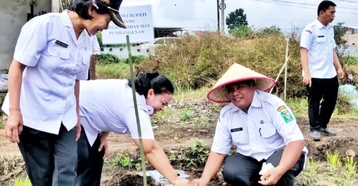 Pemkab Simalungun Laksanakan Gerakan Tanam Cabai Merah Serentak
