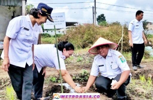 Pemkab Simalungun Laksanakan Gerakan Tanam Cabai Merah Serentak